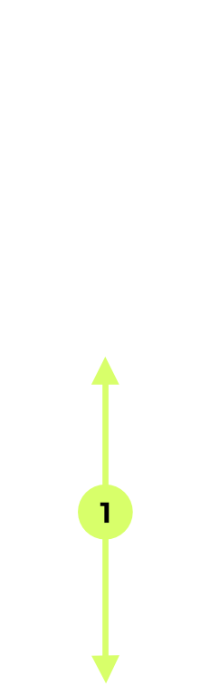 silhouette